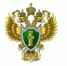 Военный прокурор разъясняет.  Для реализации прав детей участников СВО на первоочередное поступление в высшие учебные заведения справки выдаются военными комиссариатами. - Домбаровский район