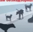 Внимание, жители Домбаровского района! - Домбаровский район
